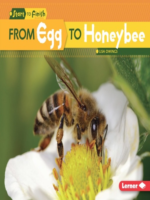 Title details for From Egg to Honeybee by Lisa Owings - Available